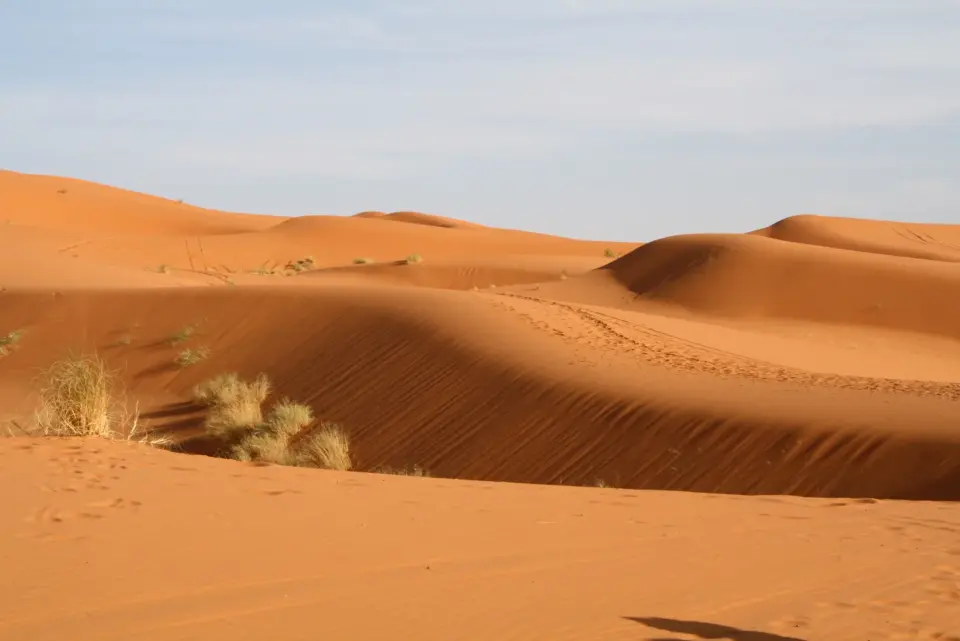 Desierto en grupo desde Marrakech: Merzouga, Fez o Erg Chigaga