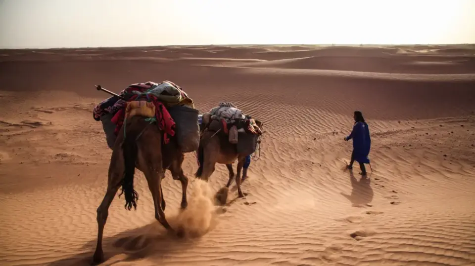 Erg Lbour to Bougarn: A Longer Day across Reg and Dunes