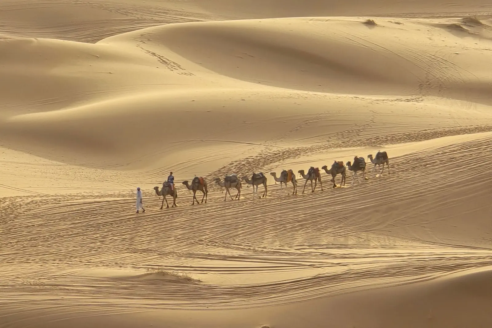 Sahara near Erfoud on a 10-day DesertBrise Travel journey