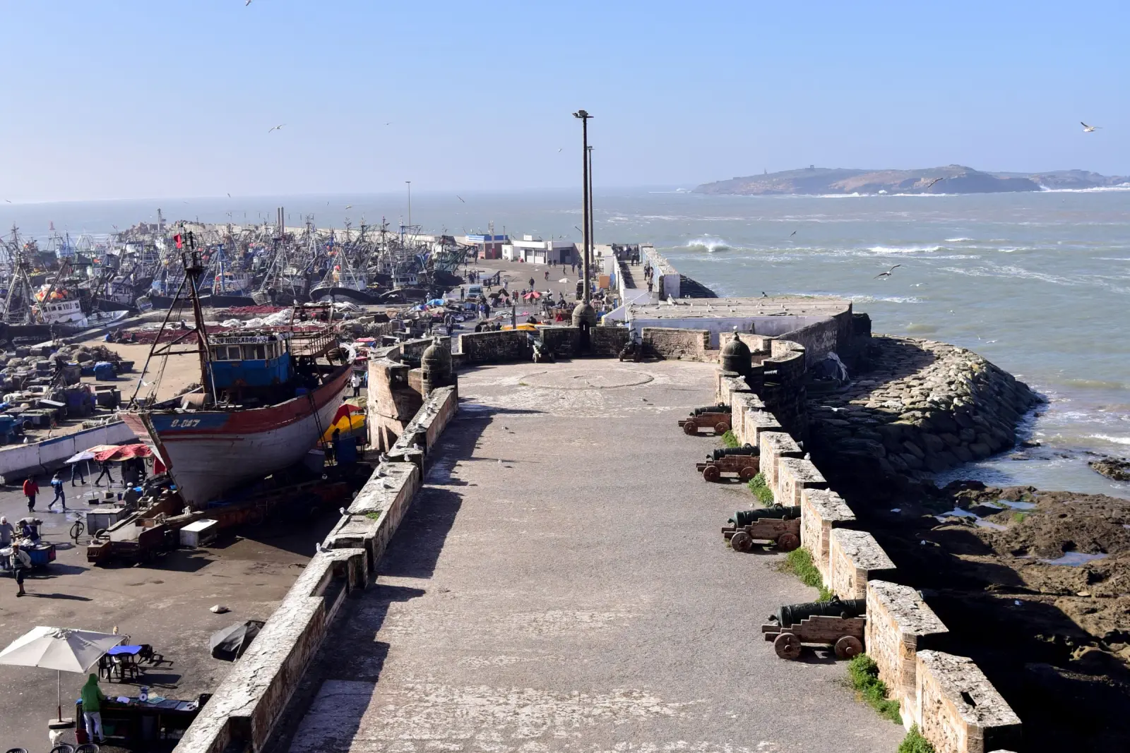 Essaouira on a 10-day DesertBrise Travel journey