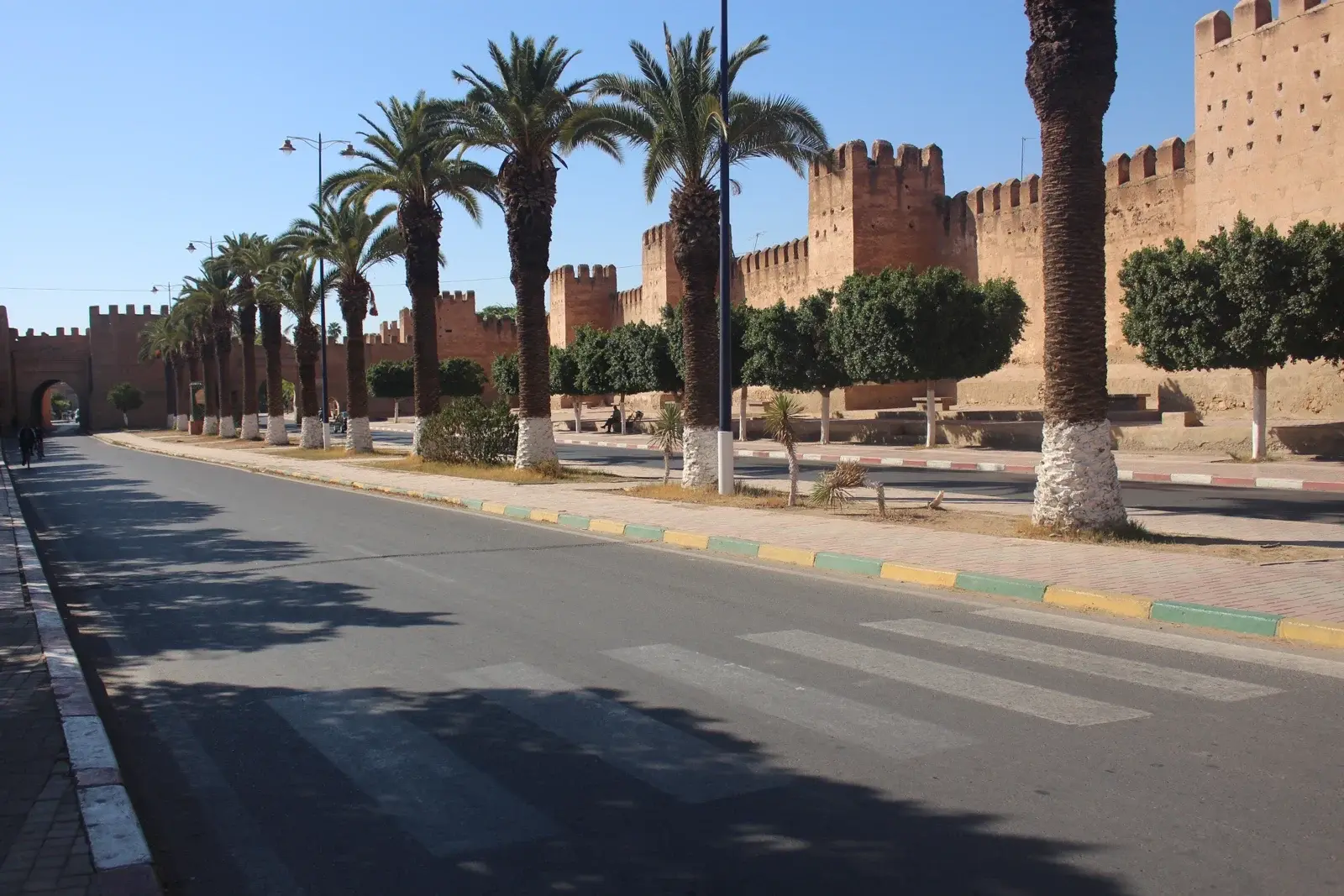 Taroudant ramparts beside a palm-lined road
