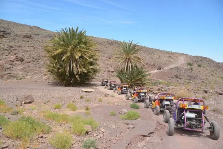 Gemeinsame Buggyfahrt in der Palmeraie ab Marrakesch mit Tee