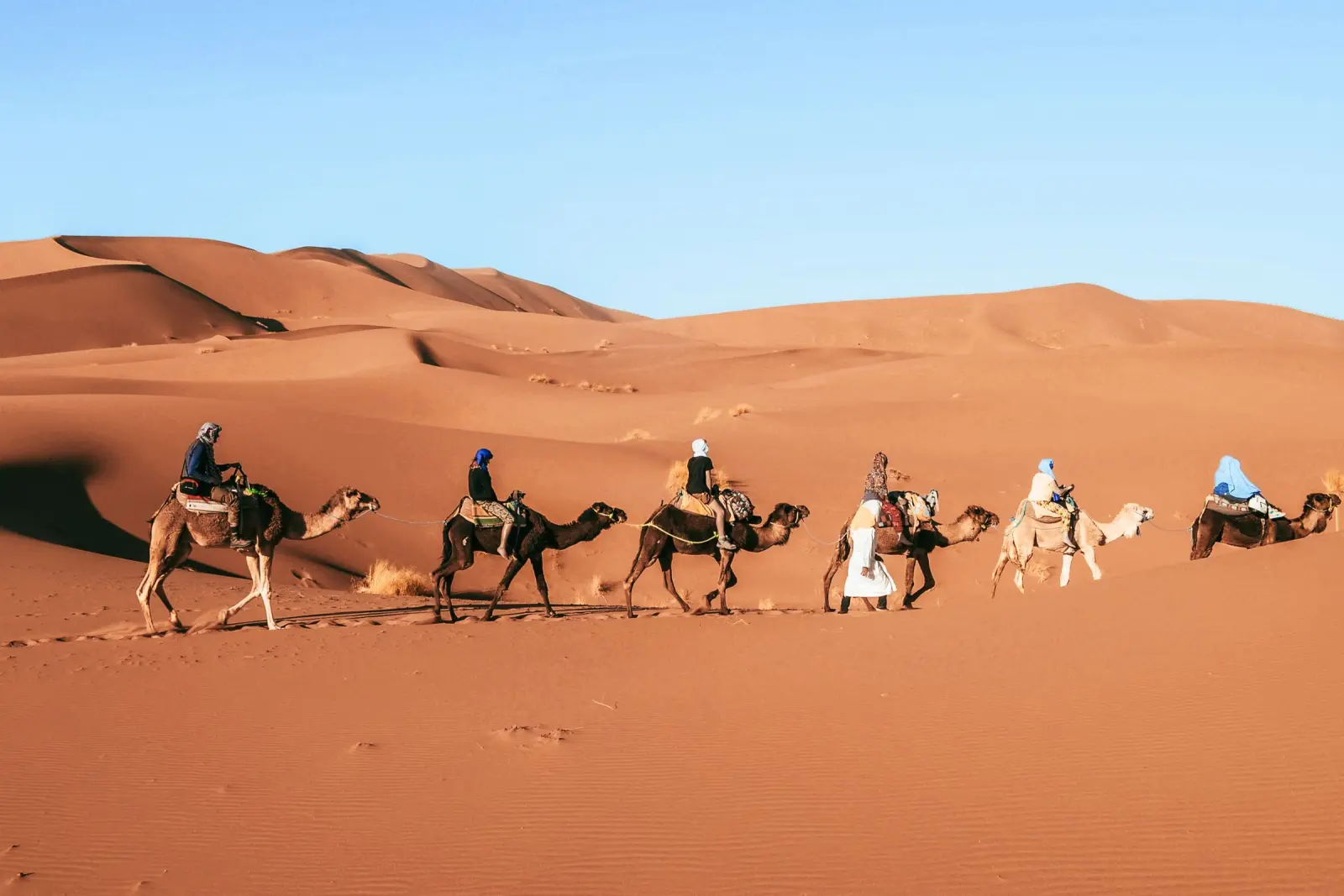 Foum Zguid on a 10-day DesertBrise Travel journey