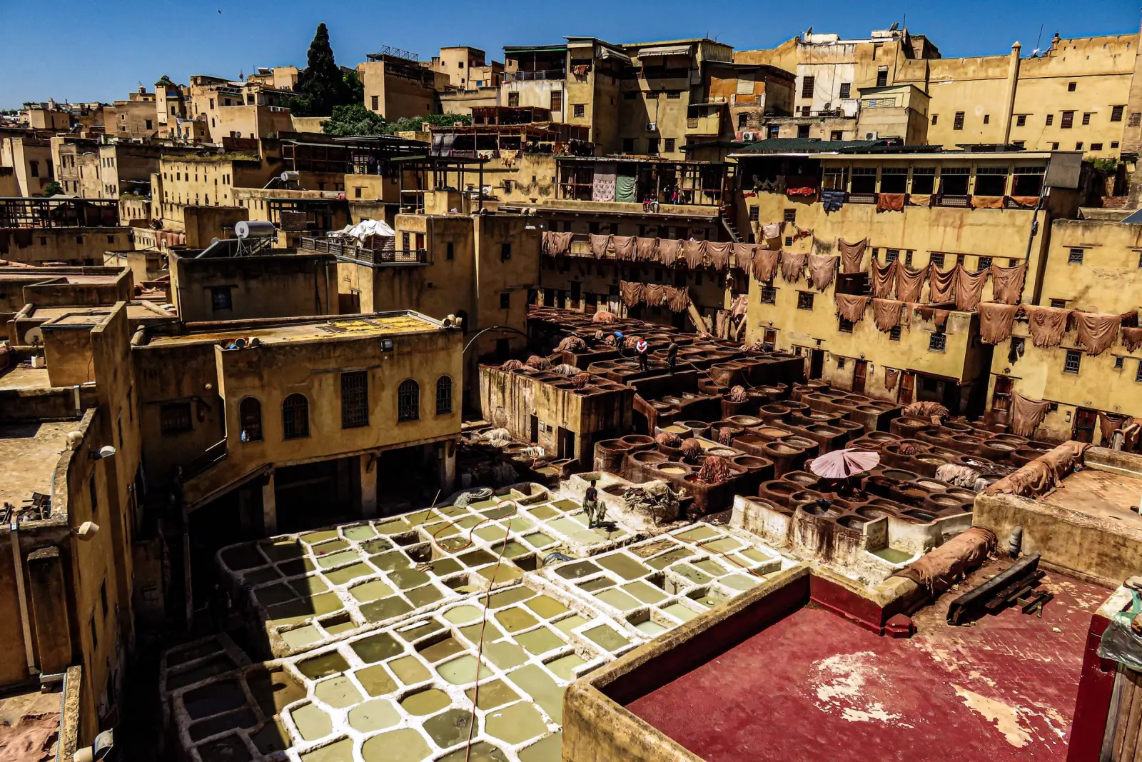 Fes durante un viaggio DesertBrise Travel di 10 giorni
