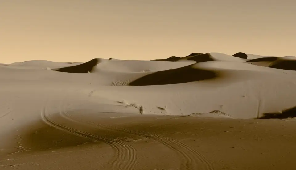 Day 3 — Merzouga to Marrakech: Morning Light, Then the Road Across Morocco