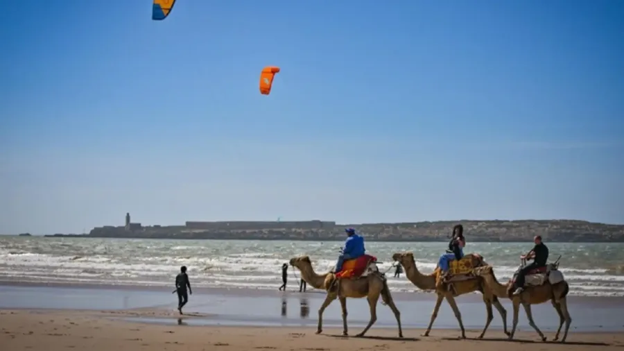 Kitesurfers riding the Atlantic wind in Essaouira Bay