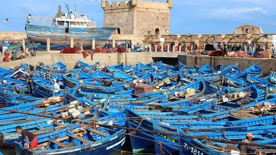 Traditional blue fishing boats packed inside Essaouira harbor