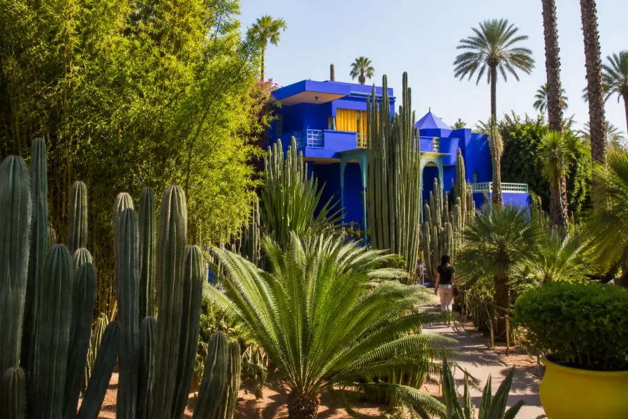 Blaue Villa und tropischer Garten im Jardin Majorelle