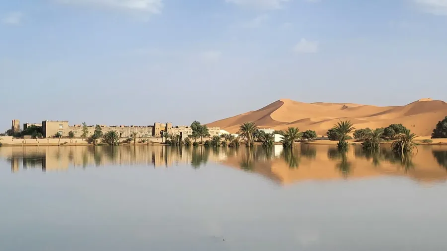 Seasonal water and palms beside dunes near Merzouga