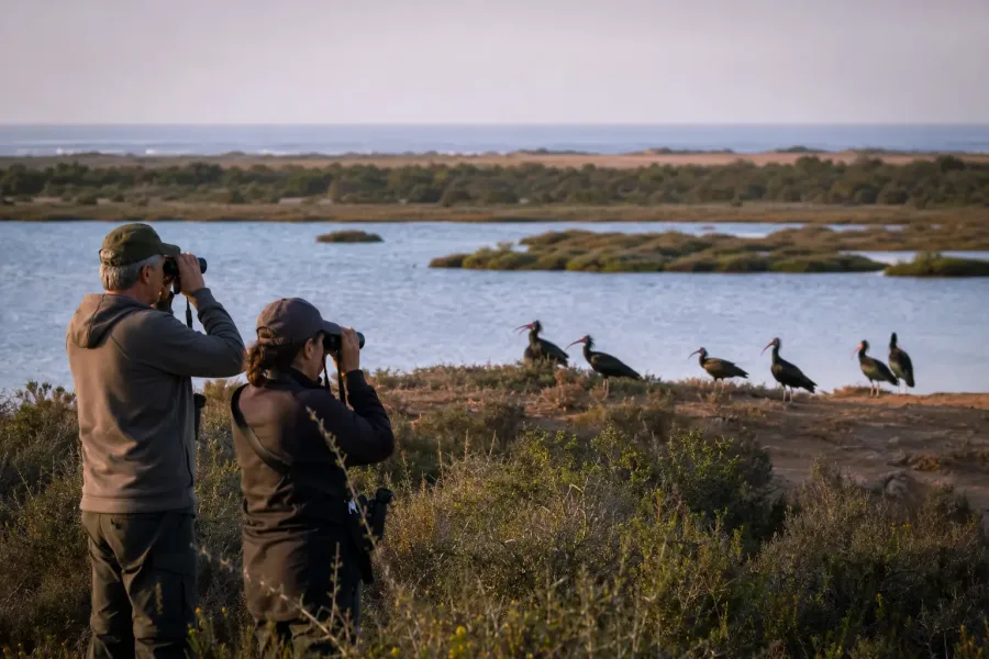 Découvrir le parc national de Souss-Massa Agadir
