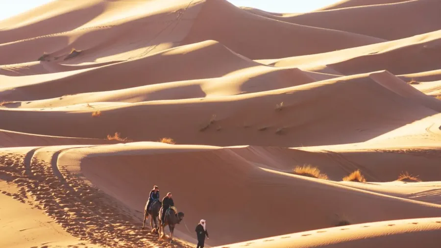 Kameltour über Erg Chebbi – Merzouga