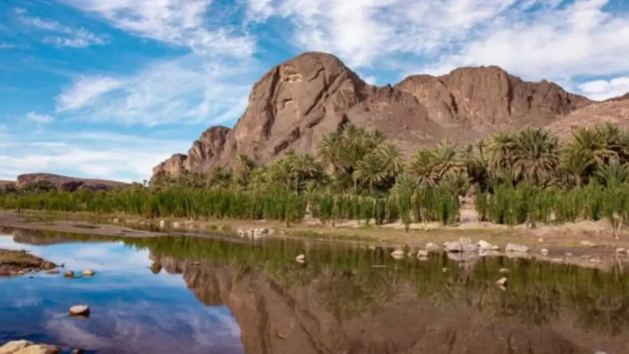 Oasi di Fint – Ouarzazate