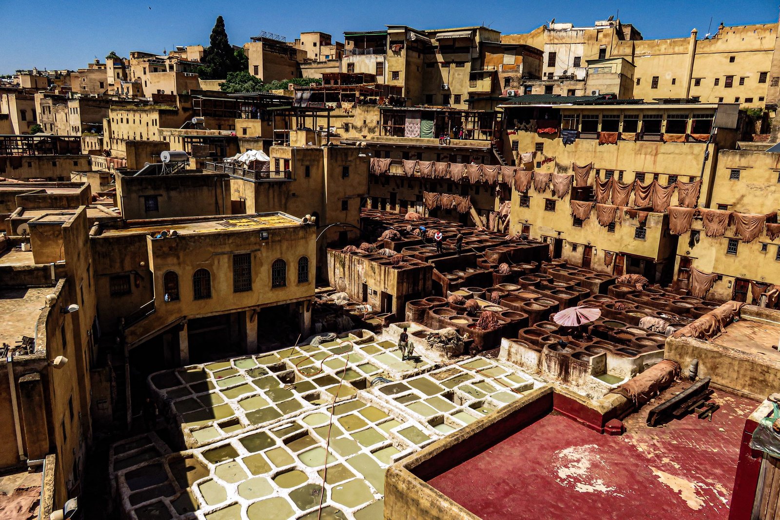 Casablanca to Marrakech: Casablanca, Rabat, Chefchaouen, Volubilis — 10 Days