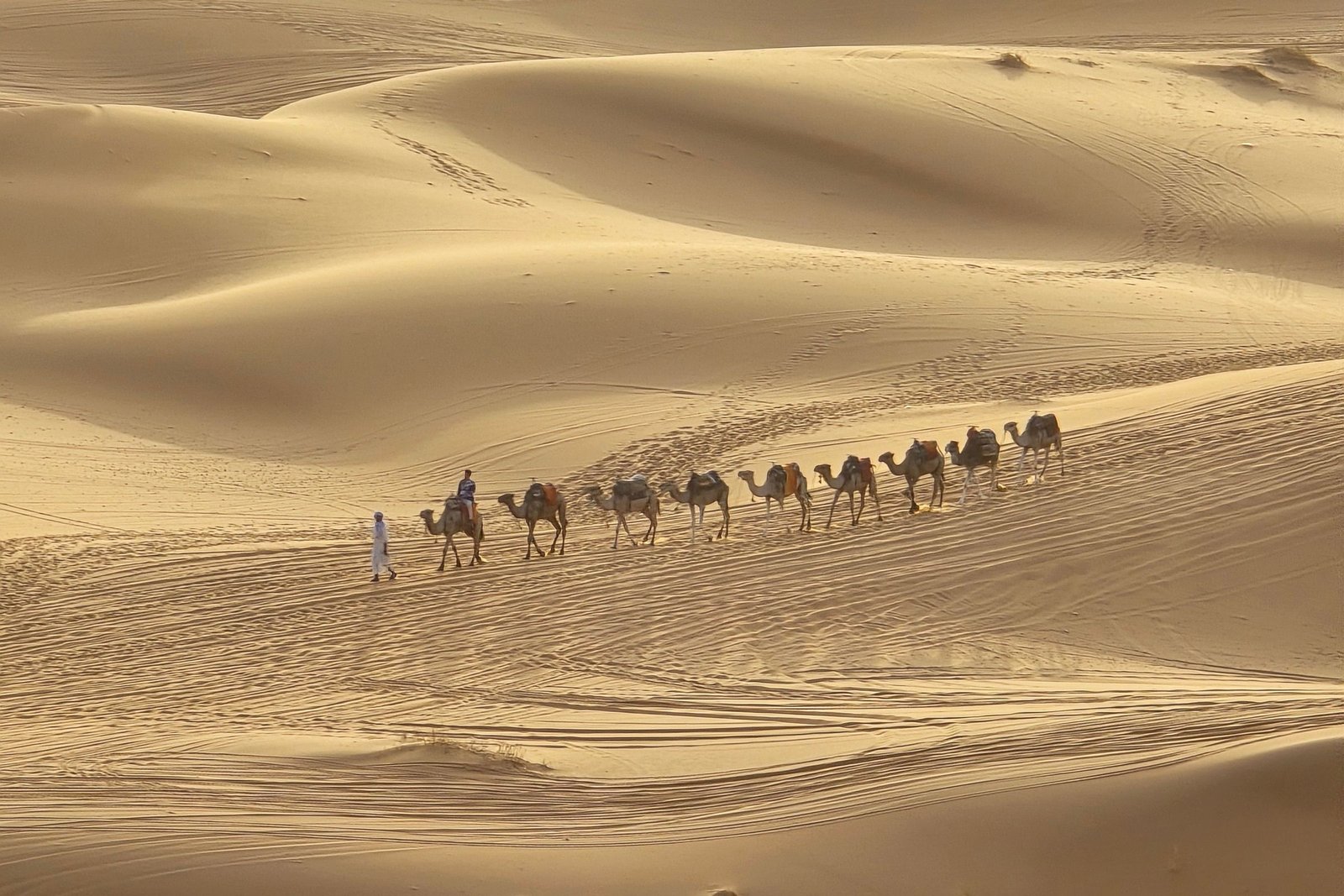 Culture, Sahara & Atlas Trails: Casablanca, Volubilis, Meknes, Fes — 10 Days