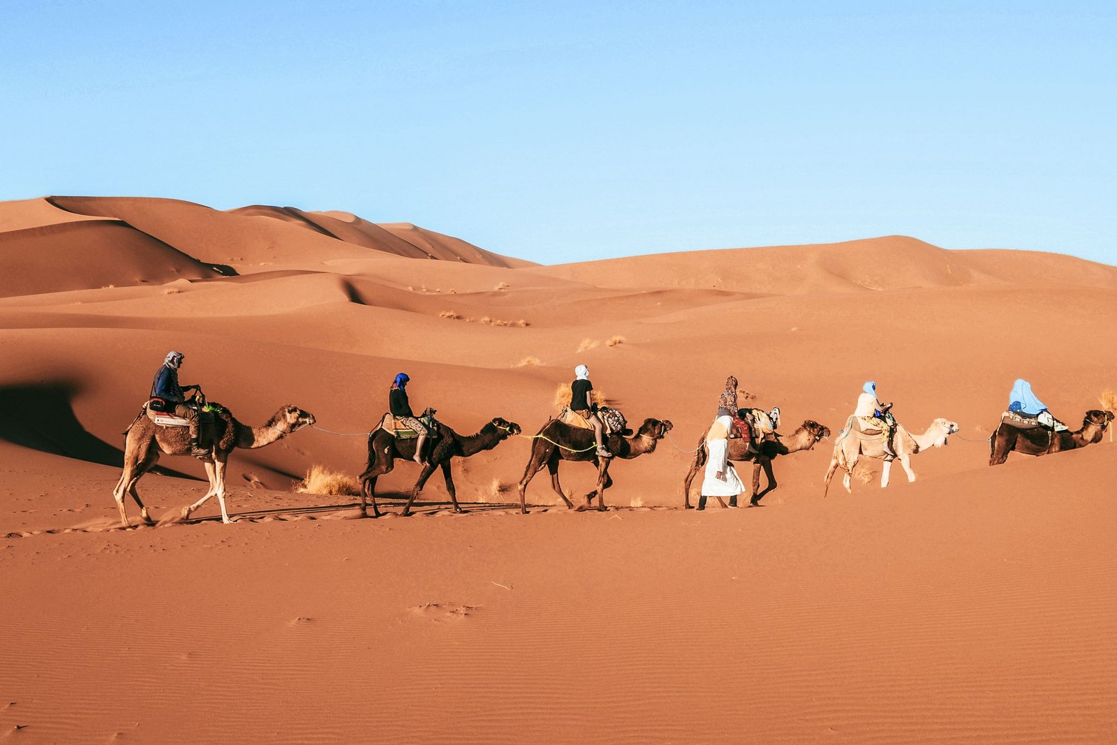 Winter Southern Morocco: Marrakech, Essaouira, Taroudant, Foum Zguid — 10 Days