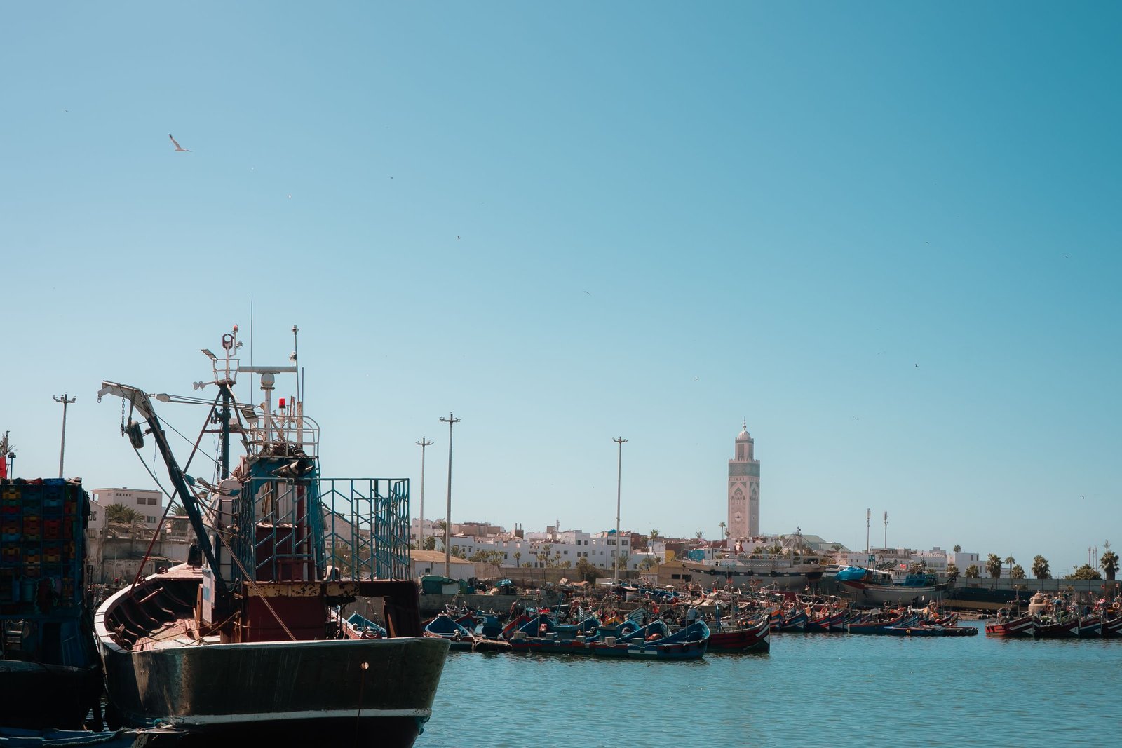 Atlantic Morocco in Comfort: Tangier, Rabat, El Jadida, Oualidia — 10 Days