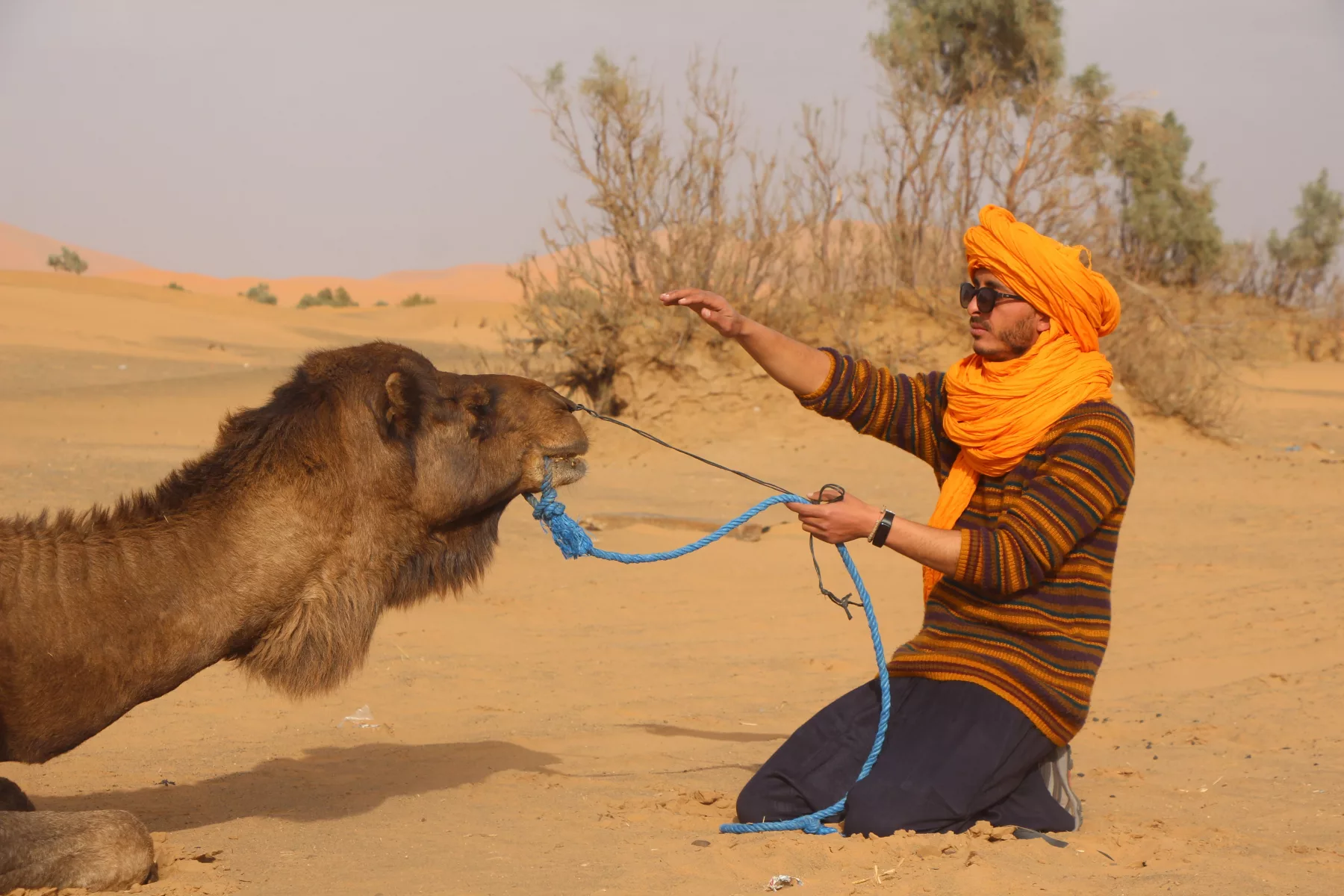 15-Day South Morocco Adventure: Imlil, Sahara & Essaouira